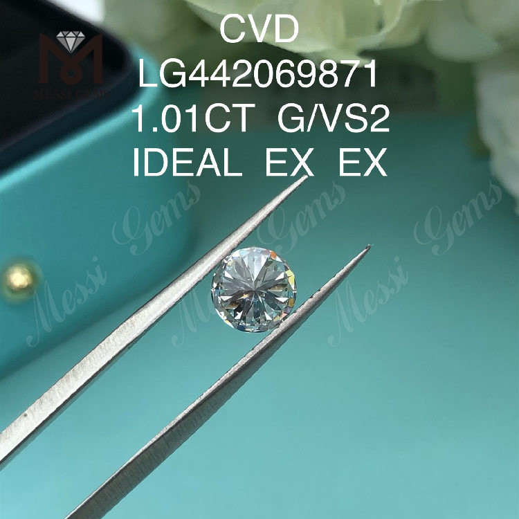 1,01 quilates G VS2 Redondo BRILLIANT IDEAL diamantes criados em laboratório