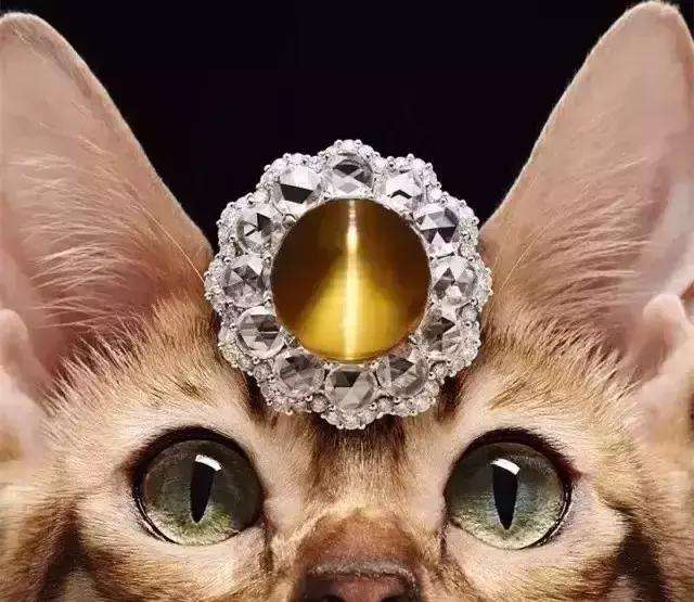 olho de gato asterismo
