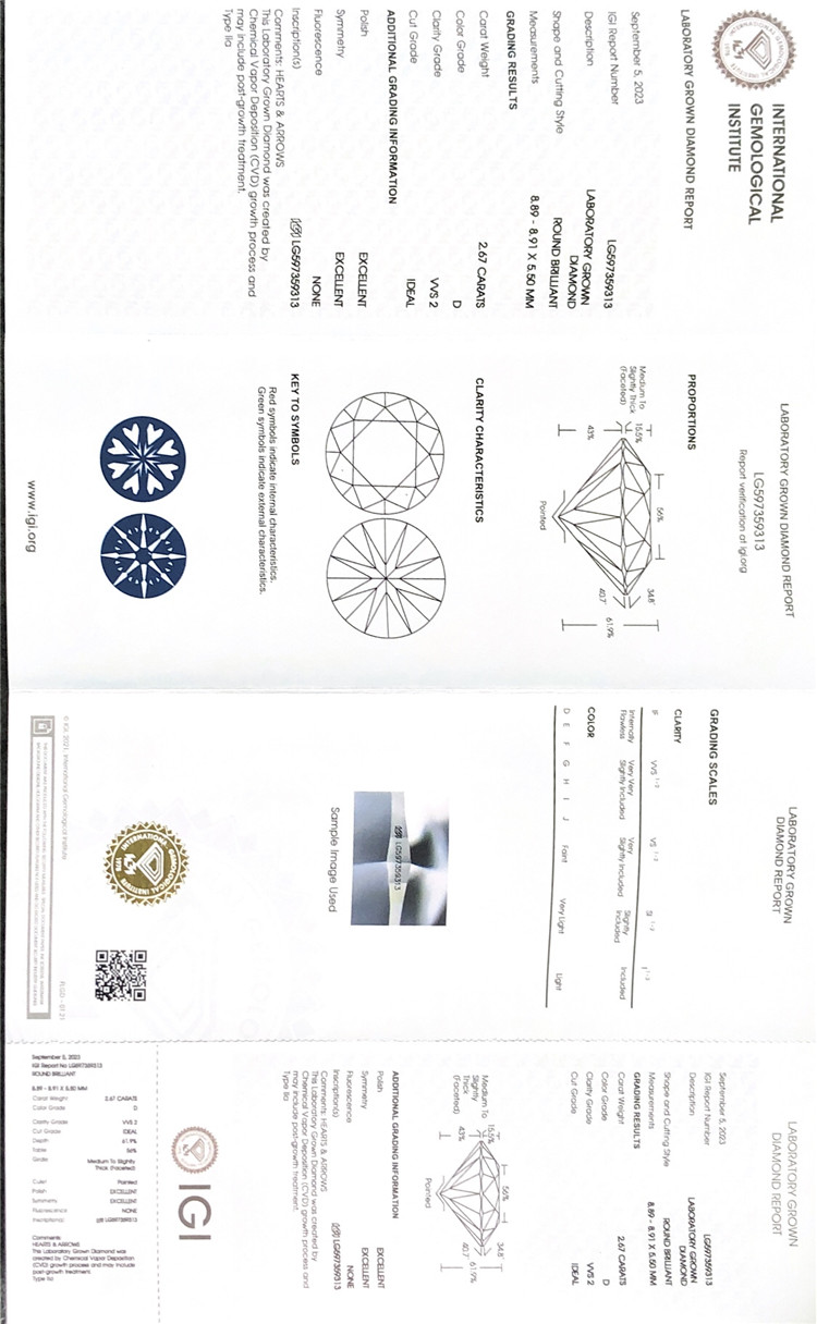 Certificado de diamante igi de 2,67 quilates